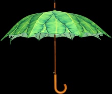 Paraguas Hojas de Platano