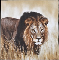 Servilletas de Papel Caballo 33x33cm