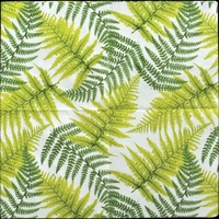 Servilletas de Papel Helecho 25x25 cm