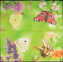 Servilletas de Papel Mariposas 33x33cm Fondo Verde