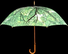 Paraguas Dise�o Arbol