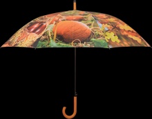Paraguas Dise�o Oto�o