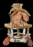 Mesa Colgante para Pajaros con Comida