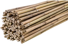 Pack 200 Tutores Bambu 120 cm Grosor 10-12mm