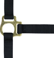 Cabestro y Correa Para Potro Norton Negro