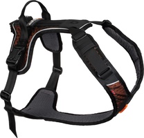 Arnes perros Non-Stop Rock harness