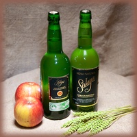 Sidra Solaya Caja Plastico 12 Unidades (Entrega Botella Vacia)