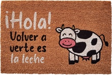 Felpudo Coco Natural Milky 40x60