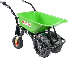 Carretilla Bateria Fanton EWD300A-80 300 Kg 20 Km