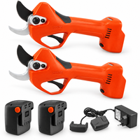 Pack poda para 2 personas Stocker Magma: 2 tijeras E-40 + 2 baterías 2,6 Ah y cargador Pack poda para 2 personas Stocker Magma: 2 tijeras E-40 + 2 baterías 2,6 Ah y cargador