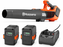Pack soplador Husqvarna 122iB + 2 baterías 40-B140 36 V 4 Ah + cargador 40-C80 Pack soplador Husqvarna 122iB + 2 baterías 40-B140 36 V 4 Ah + cargador 40-C80