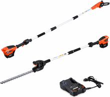 Pack poda y setos de altura ECHO: DPPF-310 + DHCA-310 + 2 bater�as 2 Ah y cargador LC3604