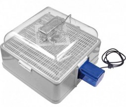 Volteador de Huevos Automatico