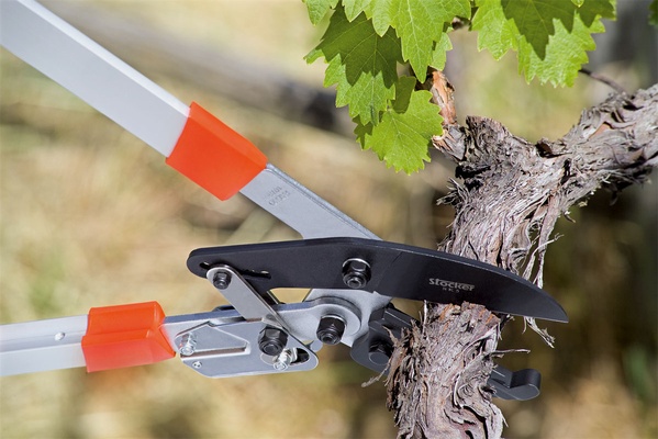 Tijera Poda Cortarramas de Carraca Telescopica