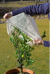 Manta Termica Protector Plantas Beige 1,2x1,6 metros 2 uds