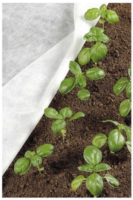 Manta Termica Protector Plantas 5x4 metros