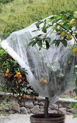 Manta Termica Protector Plantas Tubular 6x1,50 metros