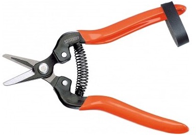 Tijera de Vendimia con Hoja Corta 16,5 cm