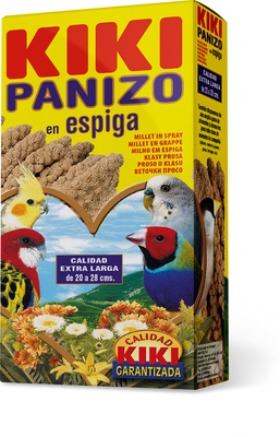 Kiki Panizo en Espiga 100gr
