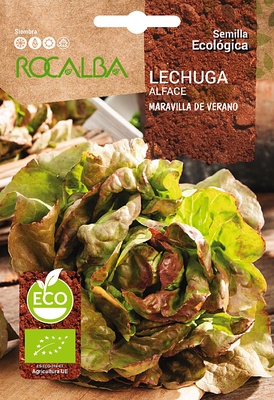 Semilla Ecologica Lechuga Maravilla de Verano