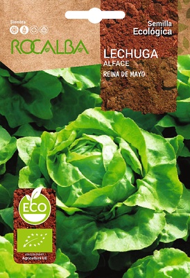 Semilla Ecologica Lechuga Reina de Mayo