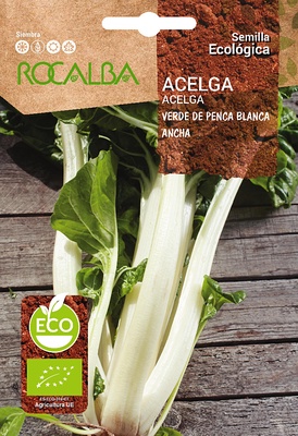 Semilla Ecologica Acelga Verde Penca Ancha blanca 2