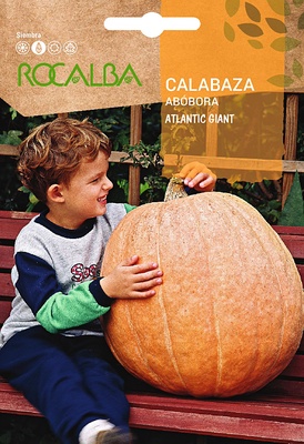Semilla Calabaza Atlantic Giant 5 gr