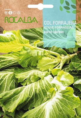 Semilla Col Forrajera Asa de Cantaro