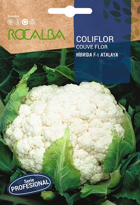 Semilla Profesional Coliflor Hibrida F1 Atalaya