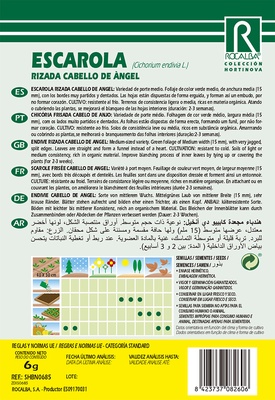 Semilla Escarola Rizada Cabello de Angel