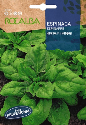 Semilla Profesional Espinaca Hibrida F1 Hudson