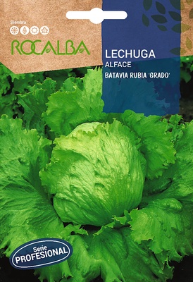 Semilla Profesional Lechuga Batavia Rubia de Grado
