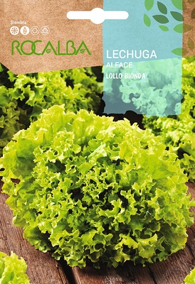 Semilla Lechuga Crispa Lollo Bionda