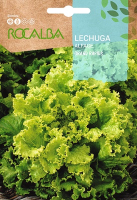 Semilla Lechuga Grand Rapids