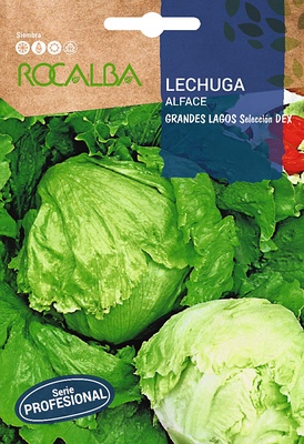 Semilla Profesional Lechuga Grandes Lagos Seleccion Dex