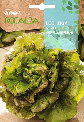 Semilla Lechuga Maravilla de Verano