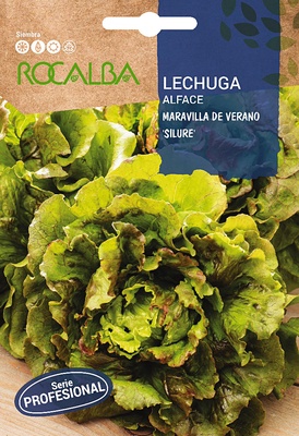 Semilla Lechuga Maravilla de Verano Silure