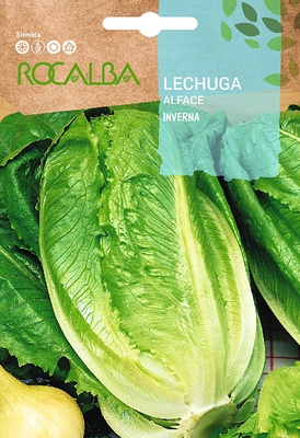 Semilla Lechuga Romana Inverna Semilla Lechuga Romana Inverna
