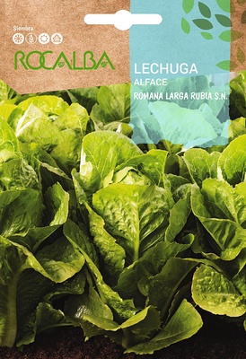 Semilla Lechuga Romana Larga Rubia