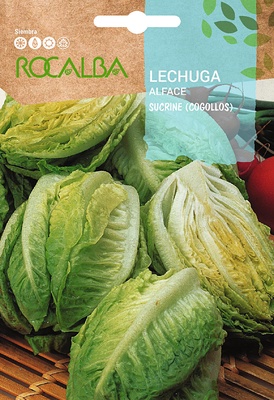 Semilla Lechuga Sucrine Cogollos