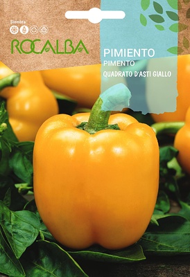 Semilla Pimiento Cuadrato Dasti Giallo