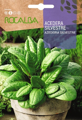 Semilla Acedera Silvestre