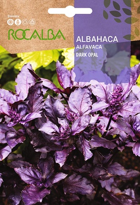 Semilla Albahaca Dark Opal