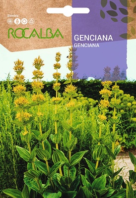 Semilla Genciana