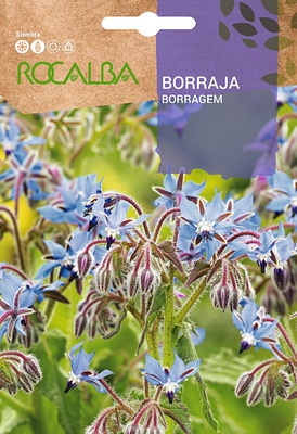 Semilla Borraja Officinalis