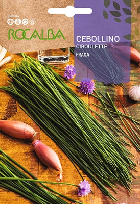 Semilla Cebollino Praga