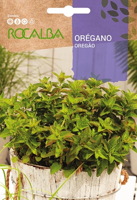 Semilla Oregano