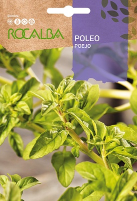 Semilla Poleo