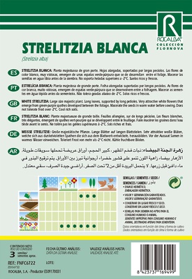 Semilla Strelitzia blanca