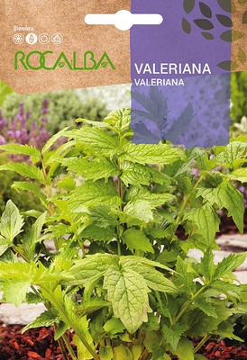 Semilla Valeriana